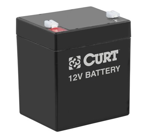 Curt Breakaway Battery