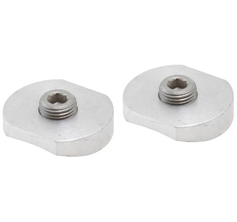 AEM 1/8in NPT Injector Bung Weld-In Fitting (2 Pack)