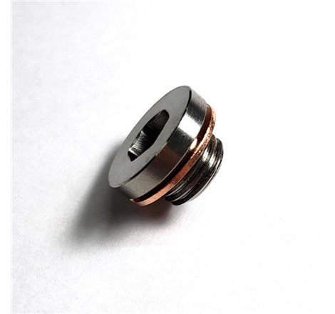 Stainless Bros M12x1.25 O2 Motorcycle Sensor Bung Plug w/ Copper Washer