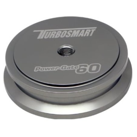 Turbosmart WG60 Welding Purge Bung