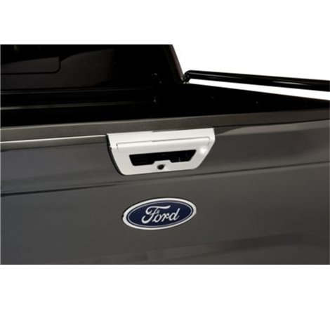 Putco 18-20 Ford F-150 (w/o Electric Pull Handle) w/ Camera & LED Opening - TG & Rear Handle Covers