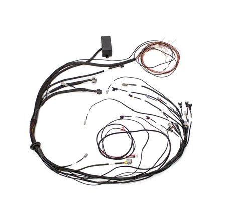 Haltech Mazda 13B (S6-8 CAS w/Flying Lead Ignition) Elite 1000 Terminated Harness