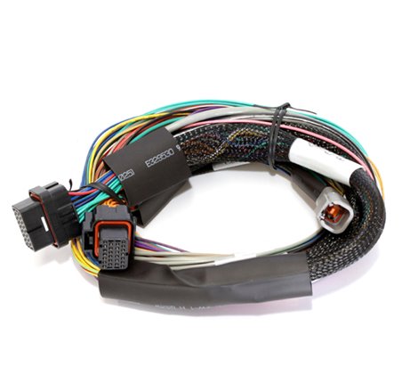 Haltech Elite 1500 8ft Basic Universal Wire-In Harness (Excl Relays or Fuses)