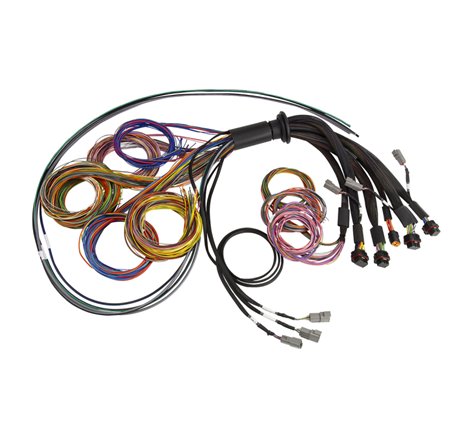 Haltech NEXUS R5 Basic Universal Wire-In Harness