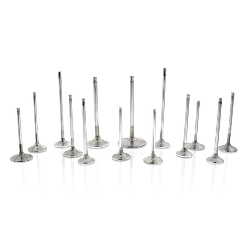 Ferrea Chevrolet BB 1.9in 11/32in 5.5in 0.25in 22 Deg Competition Plus Exhaust Valve - Set of 8