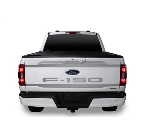 Putco 2021 Ford F-150 Stainless Steel Upper/Lower Tailgate Accent (2pcs)
