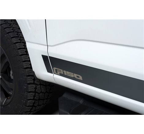Putco 2021 Ford F-150 Super Cab 8ft Long Box Ford Licensed Blk Platinum Rocker Panels (4.25in 12pc)