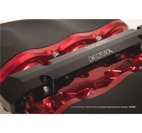 AMS Performance 2009+ Nissan GT-R R35 Alpha Carbon Intake Manifold Secondary Fuel Rail Kit