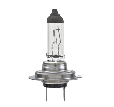 Hella High Wattage Bulb H7 12V 100W PX26d T4.6 (Pair)