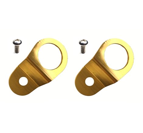 Torque Solution Radiator Mount Combo with Inserts (Gold) : Mitsubishi Evolution 7/8/9