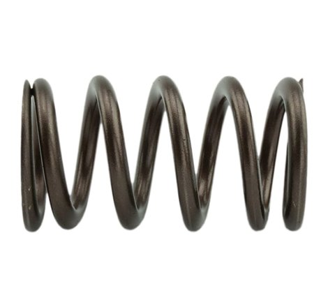 Industrial Injection 110 LBS Single Valve Spring Set