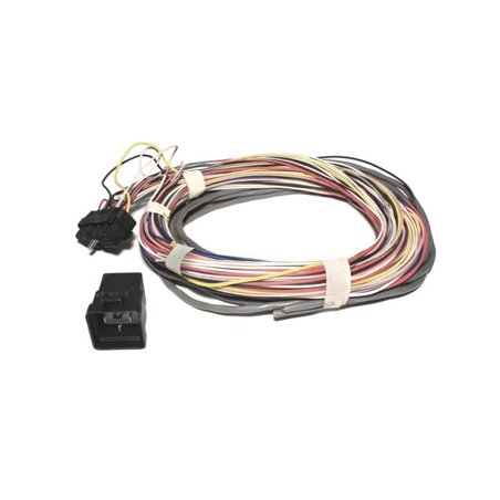 FAST Wiring Harness W/Relay FAST