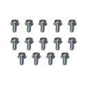 Moroso GM Powerglide Stamped Steel Transmission Pan Bolts - Set of 14