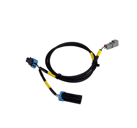 AEM CD-7/CD-7L Plug and Play Adapter Harness for Holley EFI
