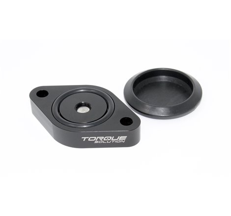 Torque Solution Sound Symposer Delete 2013+ Ford Focus ST