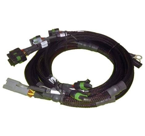 Haltech Big Block/Small Block Ford V8 8 Channel Individual High Output IGN-1A Inductive Coil Harness