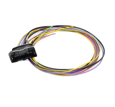 Ignition Module Harness