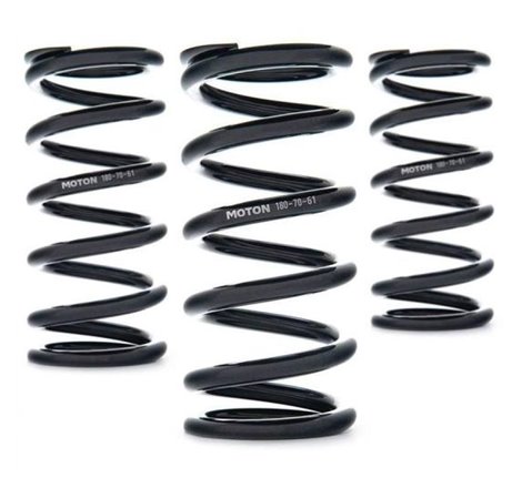 AST Linear Race Springs - 80mm Length x 20 N/mm Rate x 61mm ID - Set of 2