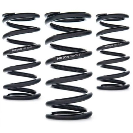 AST Linear Race Springs - 130mm Length x 110 N/mm Rate x 61mm ID - Set of 2