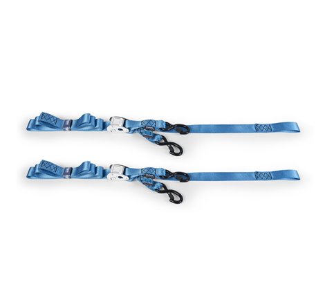 Mishimoto Cam Buckle Tie-Down Kit (2-Pack) Blue