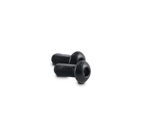 Vibrant M8 x 1.25 x 20mm Screws for Oil Flanges (Pack of 2)