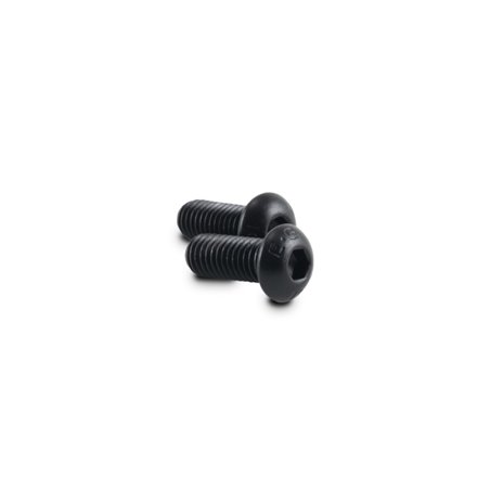 Vibrant 3/8-16 x 3/4in Screws for Oil Flanges (Pack of 2)