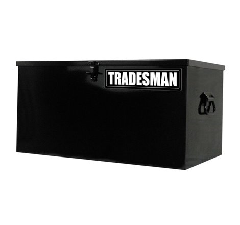 Tradesman Steel Job Site Box/Chest (Light Duty/Small) (24in.) - Black