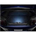 Raxiom05-14 Ford Mustang Axial Series LED Trunk Courtesy Lamp