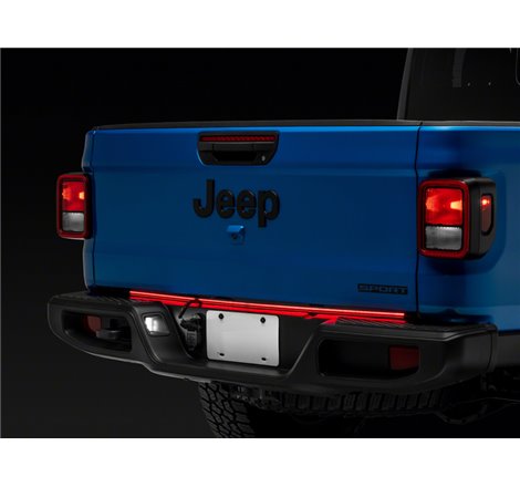 Raxiom 48-In LED Tailgate Bar Universal (Some Adaptation May Be Required)