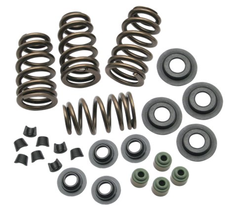 S&S Cycle 04-19 XL Valve Spring Kit - .650in