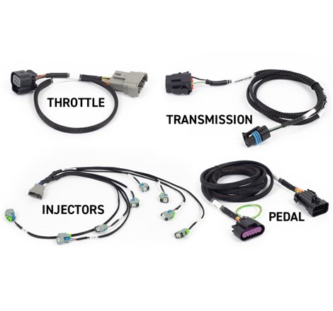 Haltech NEXUS Rebel LS Kit (Suits Gen IV) 6-Pin DBW Throttle/EV6 Injectors/Manual Transmission