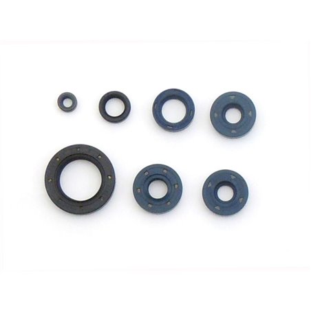 Athena 2000 Bombardier DS 650 Engine Oil Seal Kit