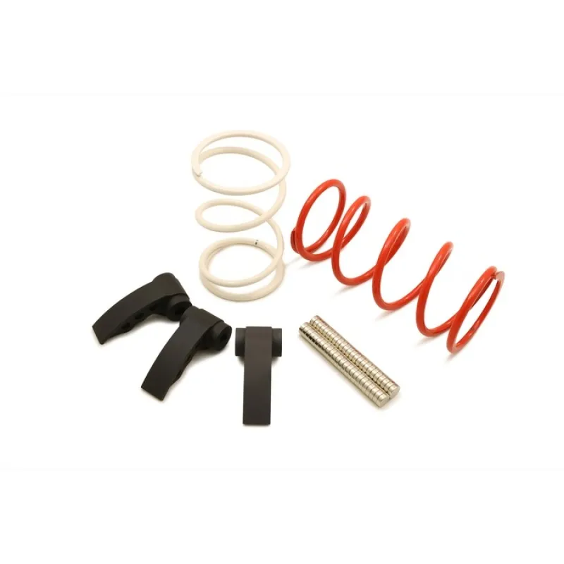 Dynojet 22-24 Polaris RZR Pro R Clutch Kit Dynojet 22-24 Polaris RZR Pro R Clutch Kit