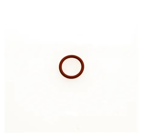 Turbosmart WG Valve Guide O Ring