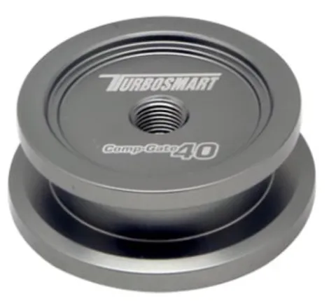 Turbosmart WG40 Welding Purge Bung