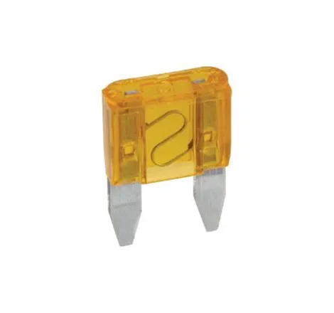 5A Automotive Mini Fuse