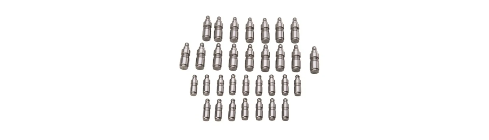 Valve Lash Caps