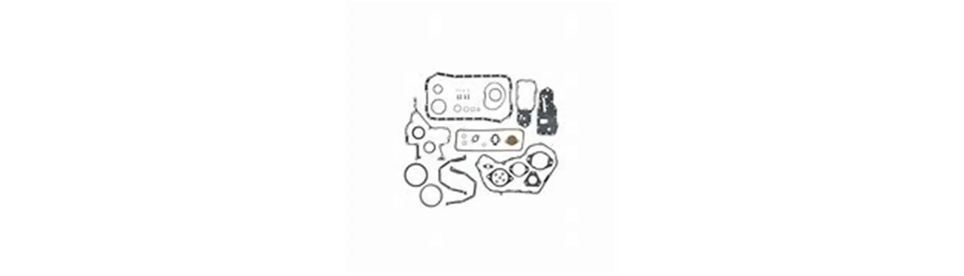 Engine Gaskets