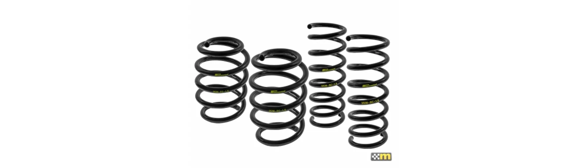 Lowering Springs
