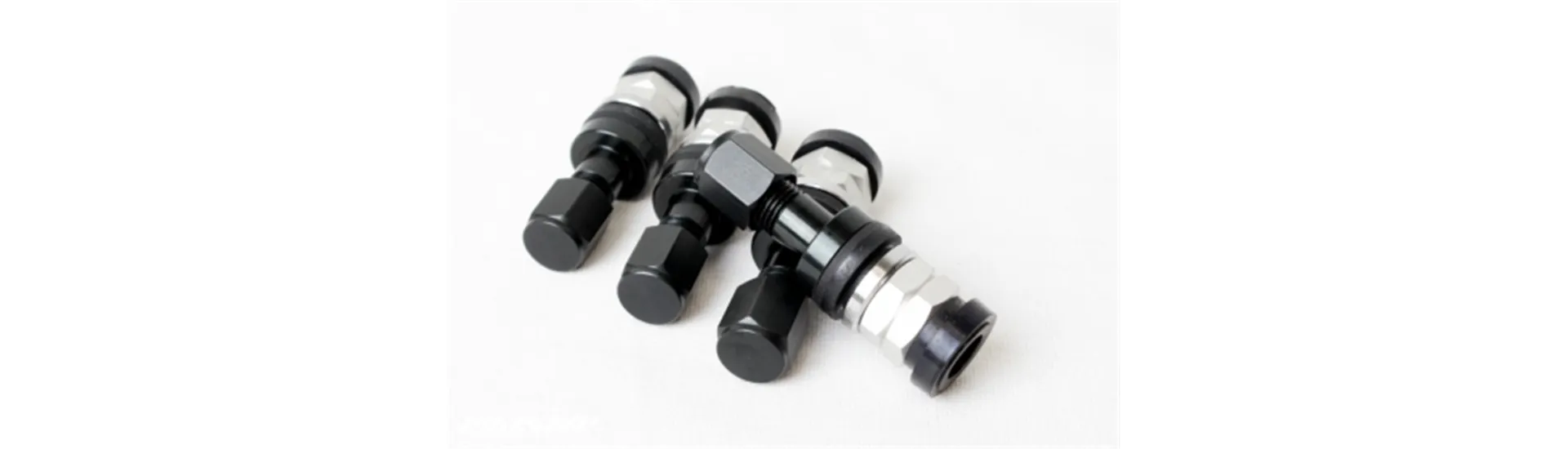 Valve Stems