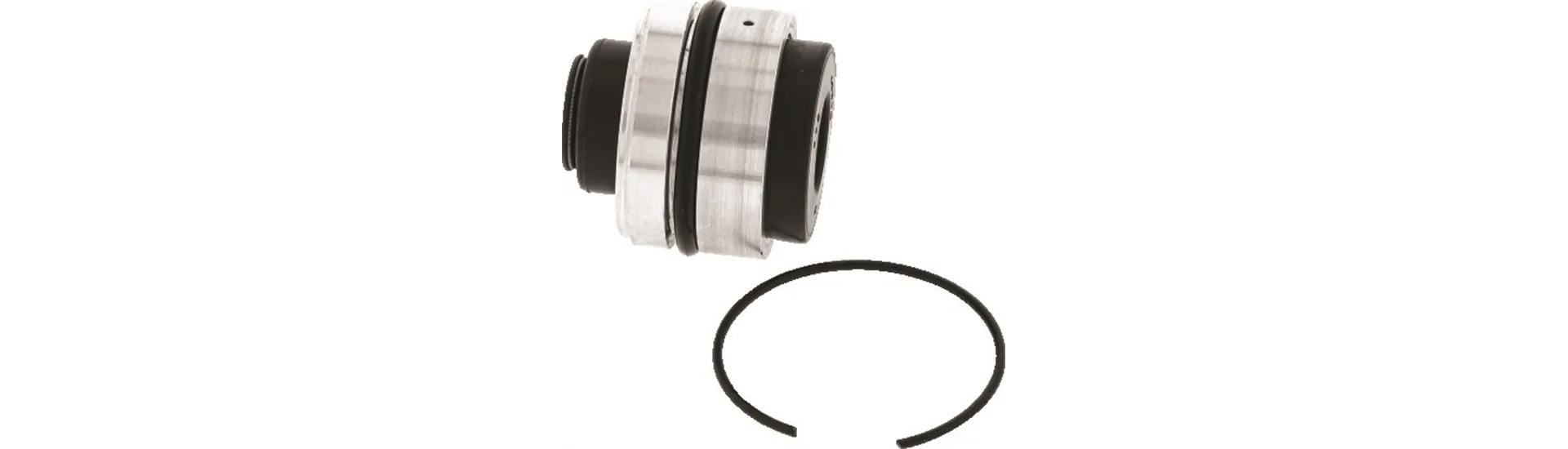 Shocks and Struts