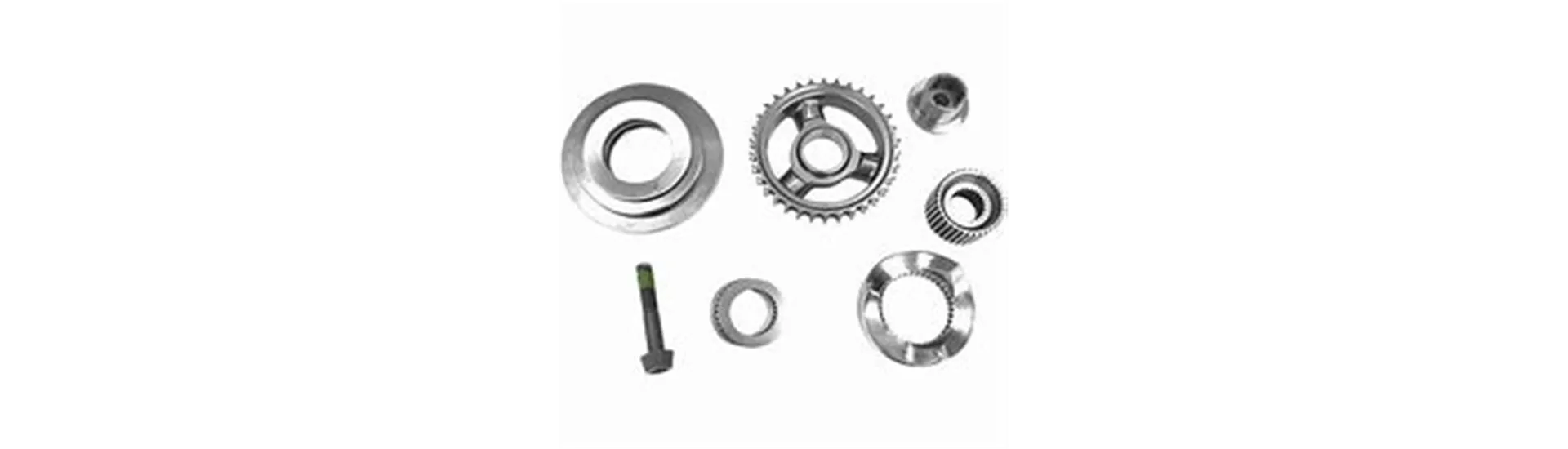 Cam Gears